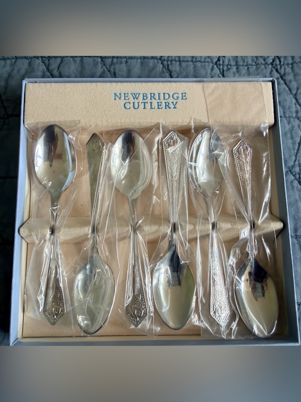 Newbridge Silverware 6 Piece Silver-Plated Teaspoon Set Ornate Handle New W/ box